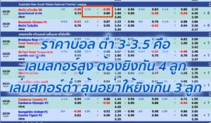 แทงบอลต่ำ 3